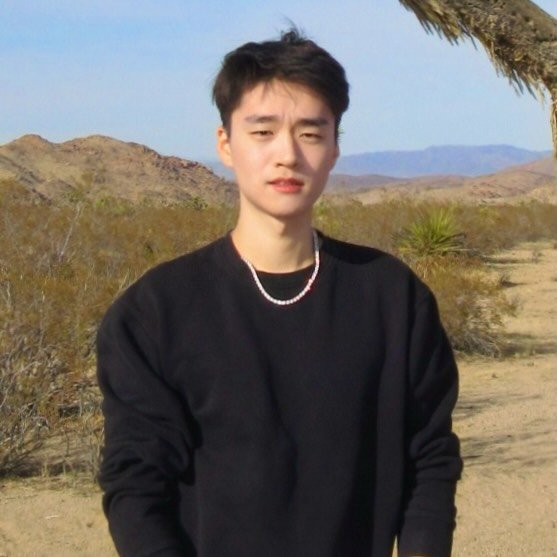Martin Lee